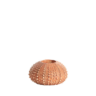 Tealight holder Ø12x7 cm SEA URCHIN red