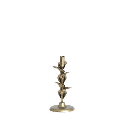 Candle stick Ø12x25 cm PARANA bronze