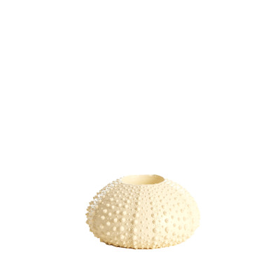 Tealight holder Ø12x7 cm SEA URCHIN cream
