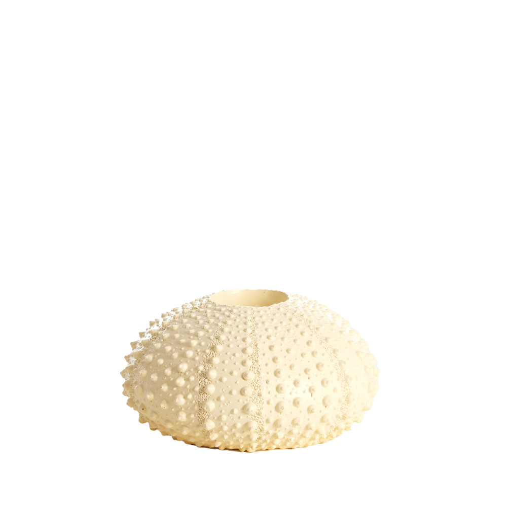 Tealight holder Ø15x8 cm SEA URCHIN cream